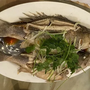 Steamed Fish