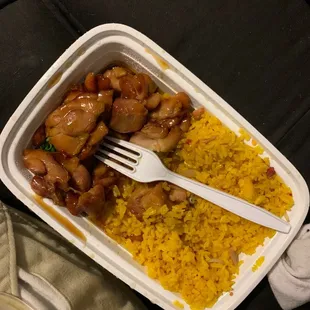 chicken and rice in a plastic container