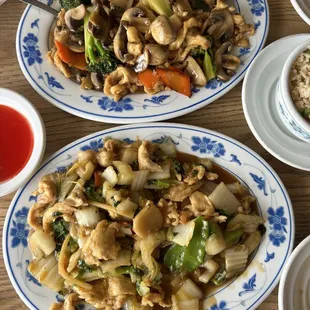 Mushroom chicken (top) Special House chicken (bottom)