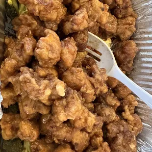 General Tso&apos;s