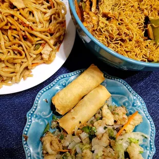 Delicious vegetable spring rolls, calamari, chicken lo mein and chicken pan fried noodles.