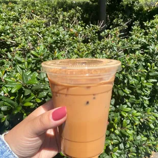 Hong Kong Style Iced Milk Tea