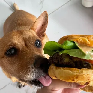 burgers