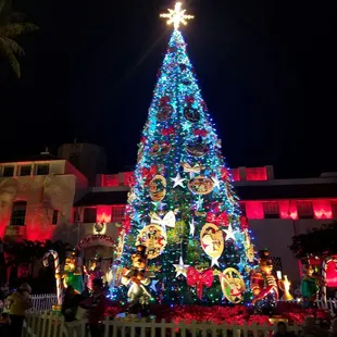 The city Christmas tree