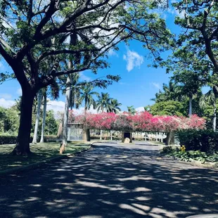 Entrance/Exit to Honolulu Country Club