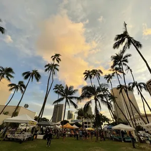 alm trees in the foreground