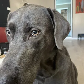 J D.