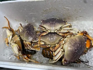 Yan Seafood Market