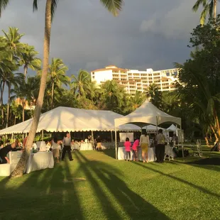 Weddings are our favorite.