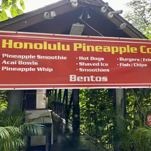 Located in the back of the overflow parking lot in Manoa Falls Park
