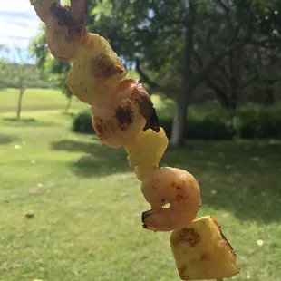 Shrimp kabob