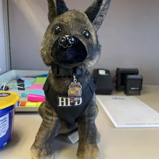 HPD Dutch shepherd plush dog