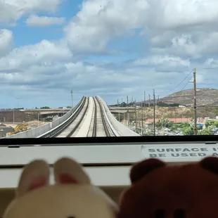 Cony and Brown had fun!