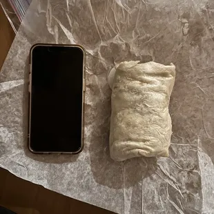 $10 burrito. Smaller than my iPhone!