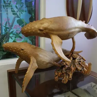 Best Jewelry Buyer, Seller, and Trader - Best Pawn Shop - Best Collectibles in Honolulu, Oahu, HI - Honolulu Trading Company