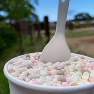 Banana Split ice cream flavor. (A blend of Vanilla, Chocolate, Strawberry and Banana.)