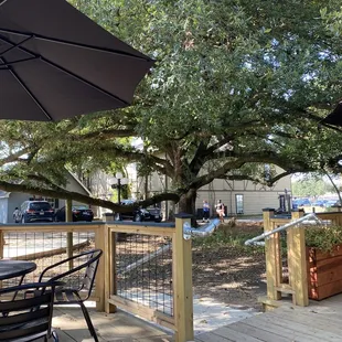 Comfortable back patio seating with a canopy tree view and water bowls for visiting padfeet