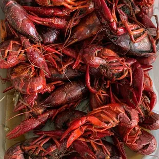 Crawfish - it&apos;s about to go down!