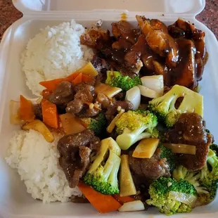 Chicken Teriyaki &amp; Broccoli Beef