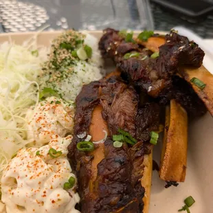 Rib plate