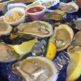 Oysters on the Half Shell