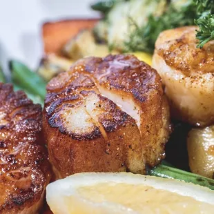 Hook Plate w/ Scallops.