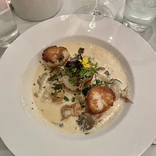 Seared Scallops