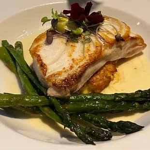 Halibut