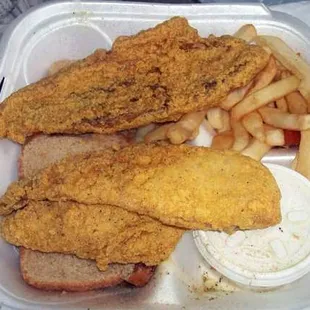 Fish dinner with fries and coleslaw