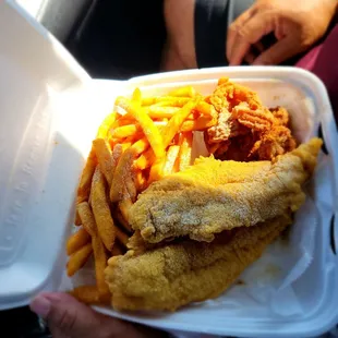 Fried catfish w fries and Cole slaw. Add on shrimp