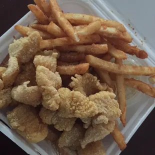 Whopping serving of catfish fillets and FF.   yum