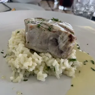 Grilled Tuna on risotto