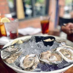 Raw Oysters