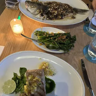 Tuna Steak