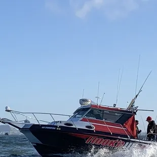 Coming out strong in the San Francisco Bay 2021