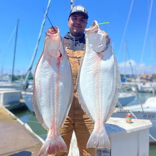 Big fish in San Francisco Bay