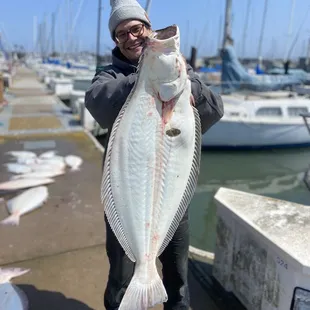 28lber caught I San a Francisco Bay