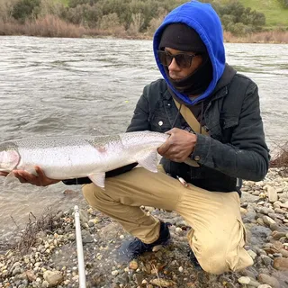 Salmon S.