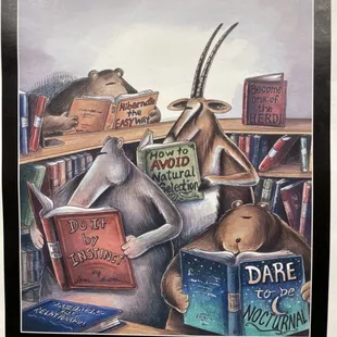 Cute posters and cartoons decorate the stacks.