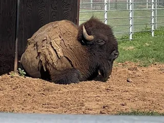 Cherokee Trading Post