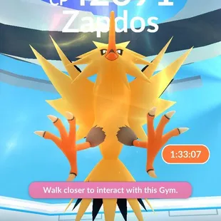 If anyone wants a zapdos