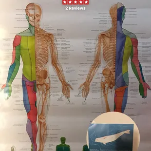 This is were your inner body gets tuned up!