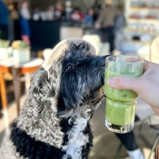Gunther approved (drink is matcha latte with oat milk and vanilla syrup)