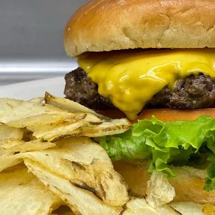 Basic Burger with cheese