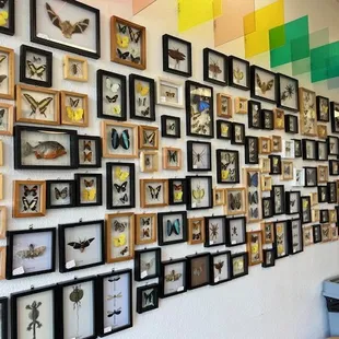 Art for sale
