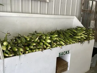 Taylor's Farm Market