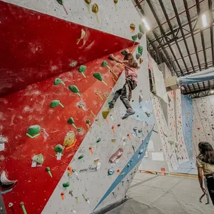 Bouldering/free climb structure
