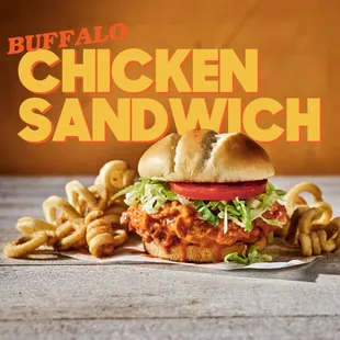 a chicken sandwich with fries