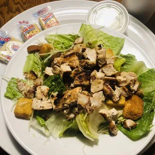 Grilled Chicken Caesar Salad