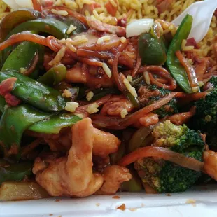 Chicken garlic sauce